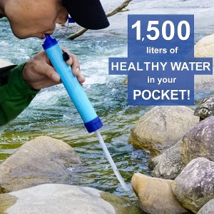 Straw-type water purifier